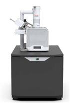 Prisma EX 扫描电子显微镜